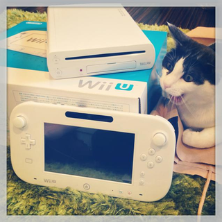 Illustration for article titled Cats Are Very Serious about Video Games